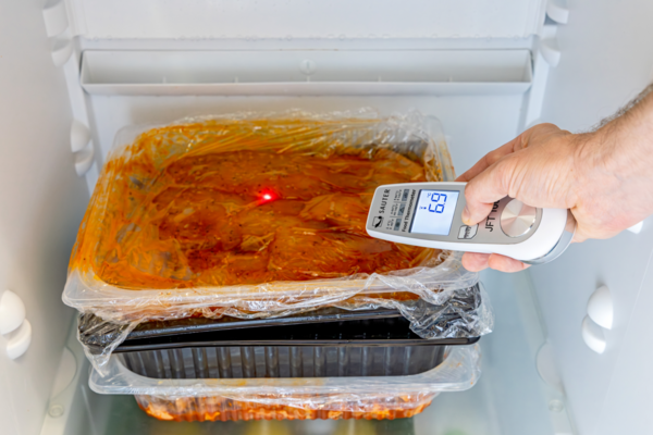 Temperature meter SAUTER JFT 100 Application picture with food