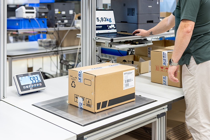 EasyDisplay – Weighing data at a glance, anytime